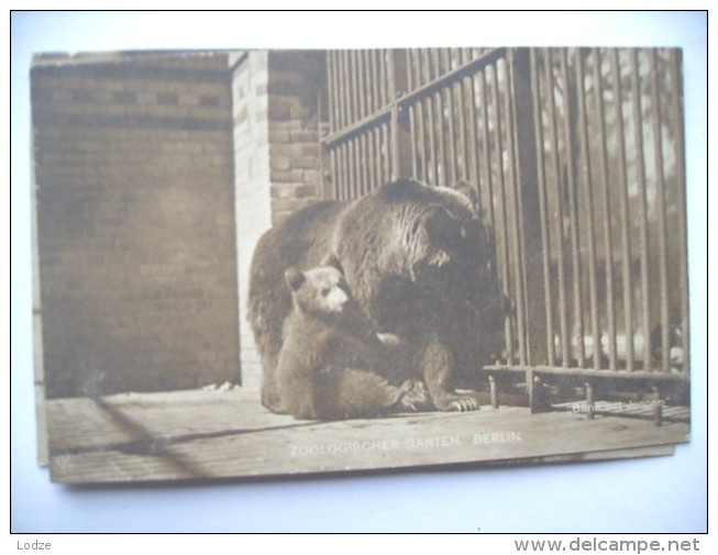 Duitsland Deutschland Berlijn Berlin Zoo Alt Bären Bears - Dierentuin