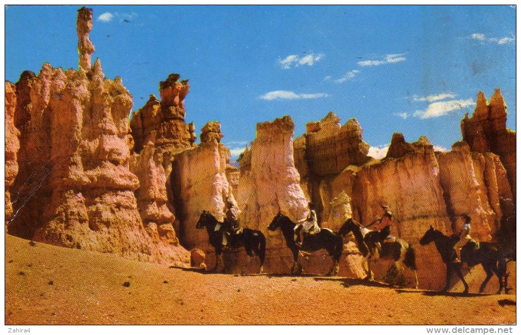 Horseback Riders Bryce Canyon National Park, Utah-Popular With Visitors At Bryce Canyon Are The Horsback Rides Down Safe - Bryce Canyon