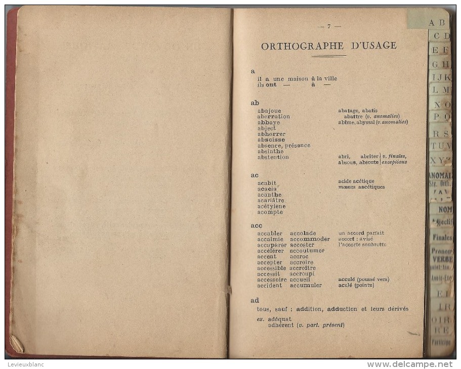 Carnet D'Orthographe/ Ouvrage Pratique /Orthographe D'usage/Chambéry/ Vers 1920-1930    CAH89 - 18 Años Y Más