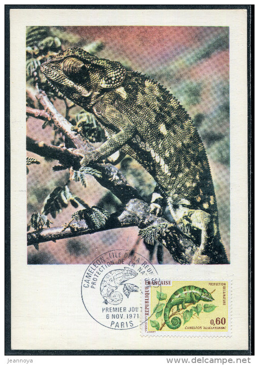 FRANCE - N° 1692 , CAMELON DE LA REUNION , SUR C.M. DU 6/11/1971 , VARIÉTÉ CONSTANTE TRAIT PARASITE DANS LA QUEUE - SUP - Covers & Documents