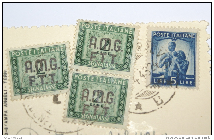 ITALIA, TRIESTE ZONA A, TRE SEGNATASSE LIRE 2 VERDE  SU CARTOLINA ILLUSTRATA - Revenue Stamps