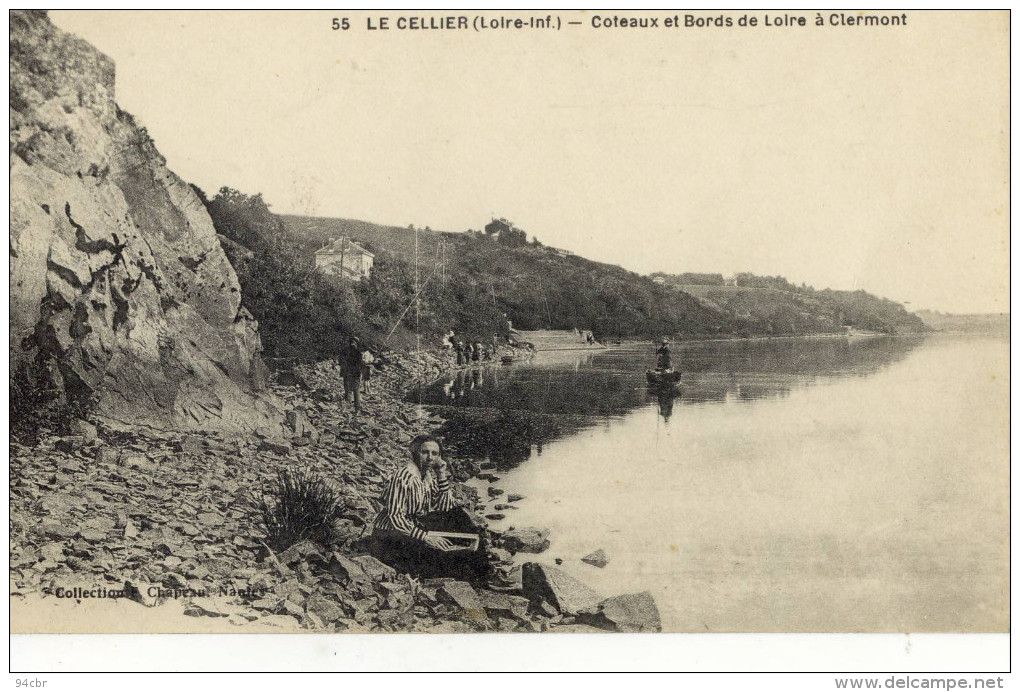 CPA.(44)   LE CELLIER Coteaux Et Bords De Loire A Clermont - Le Cellier