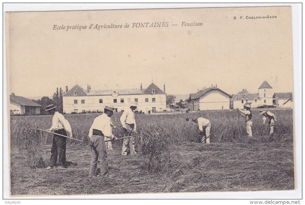 Ecole Pratique D'agriculture De Fontaines - Fenaison - Other & Unclassified