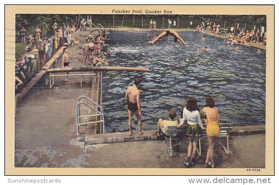 New York City Allegany State Park Greetings From Allegany State Park 1951 - Parken & Tuinen