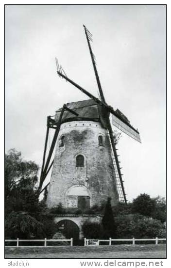 AARSELE Bij Tielt (W.Vl.) - Molen/moulin - Historisch Beeld Van De Delmerensmolen In Verval; Hier Nog Met Kap En Wieken - Tielt