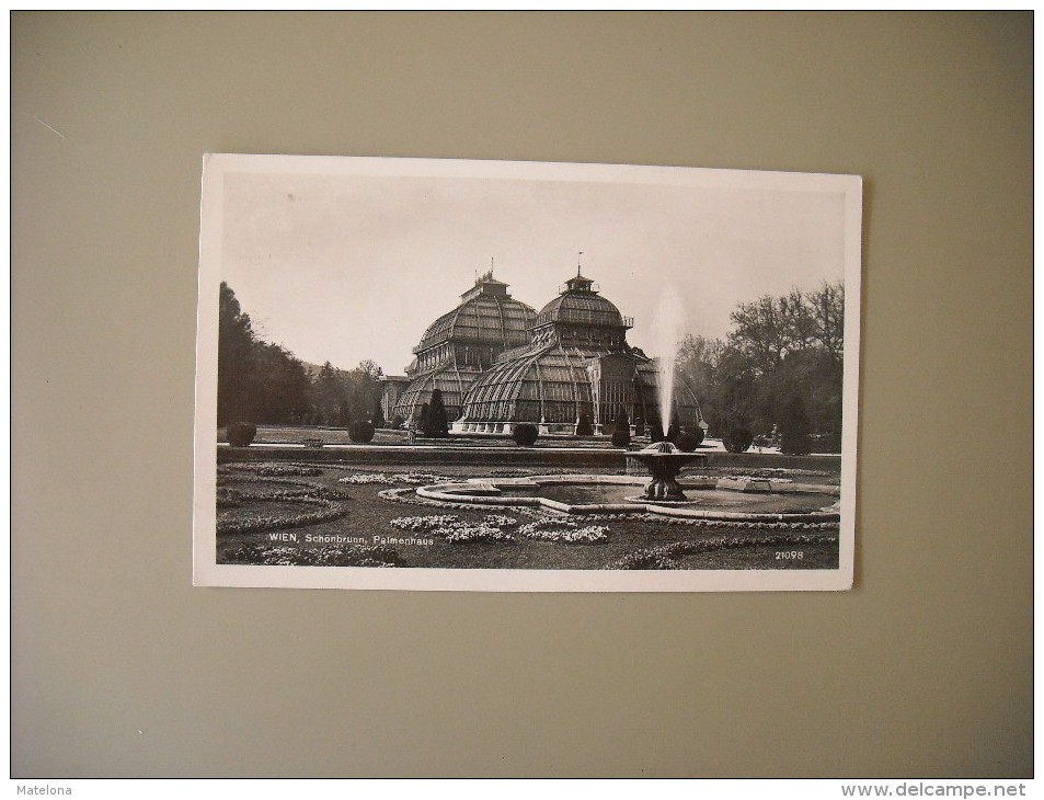 AUTRICHE VIENNE WIEN SCHÖNBRUNN PALMENHAUS - Château De Schönbrunn