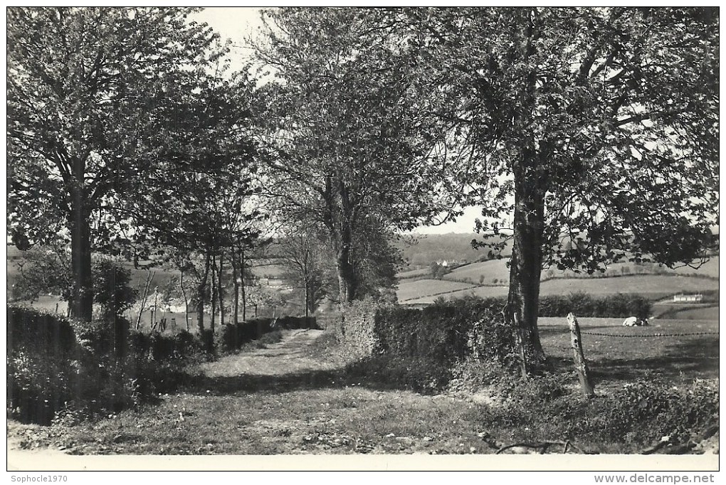 NORD PAS DE CALAIS - 59 - NORD - EPPE SAUVAGE - Petite Suisse Du Nord - CPSM PF NB - Sonstige & Ohne Zuordnung