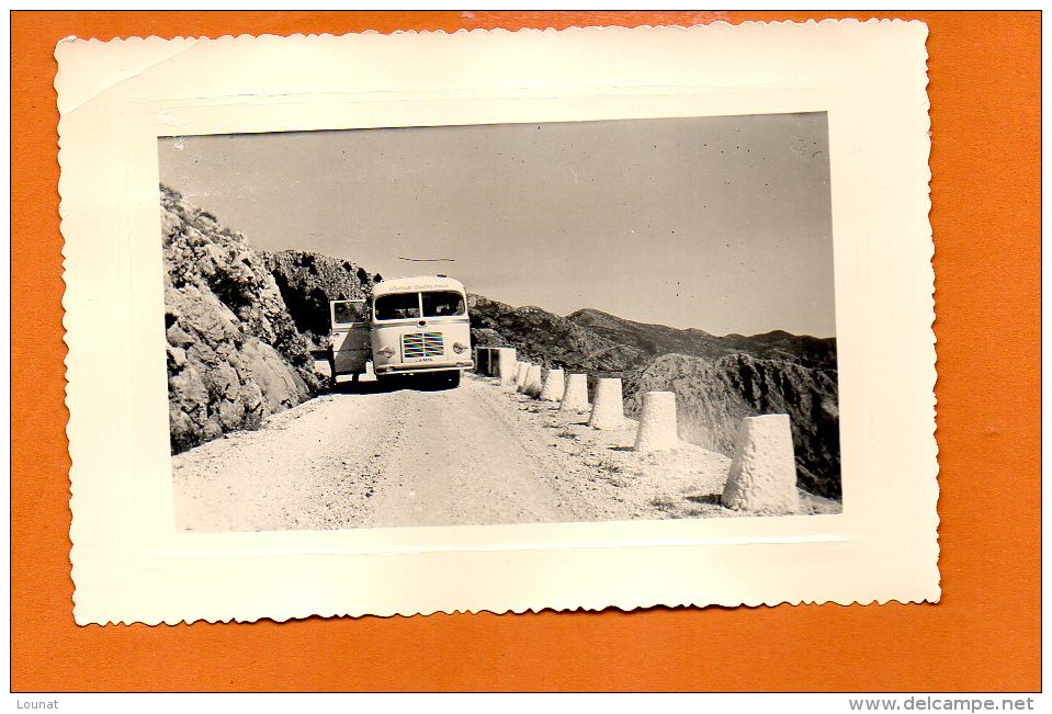 Autobus - Photo Velox (dimensions 13.5 X 9) Lieu à Identifier - Bus & Autocars