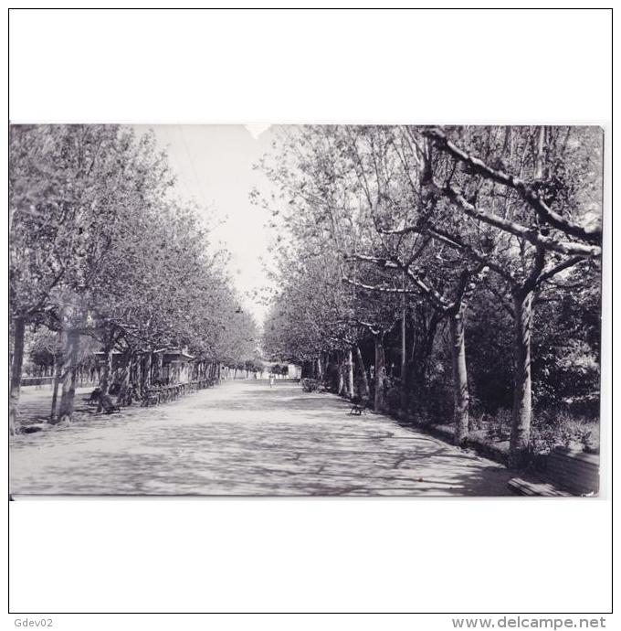 ZMRTPA4122-LFTD11642.Tarjeta Postal De ZAMORA.Edificios,arboles,jardines.PASEO DE RAMON Y CAJAL En Benavente - Zamora