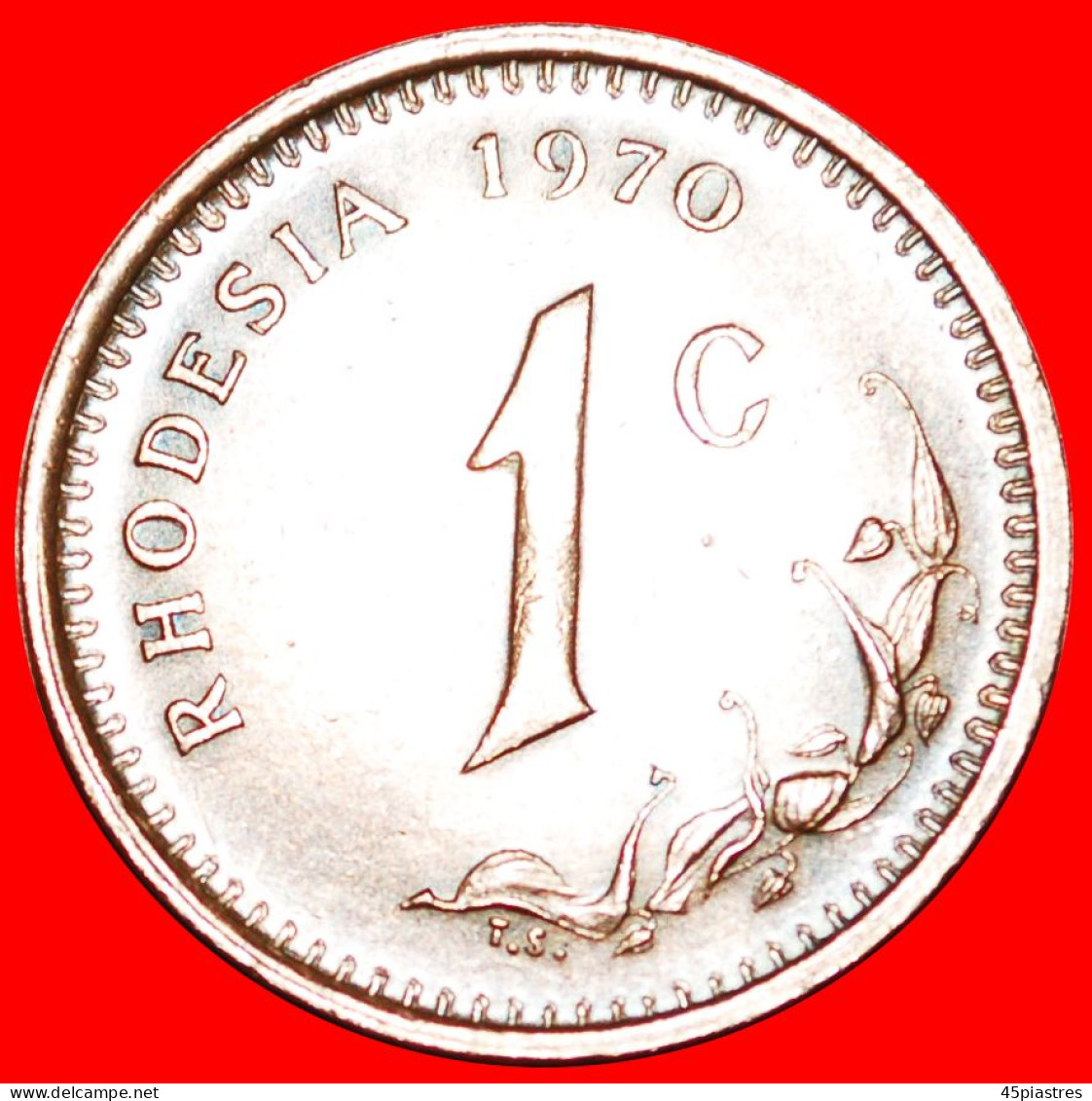 * 2 ANTELOPES (1970-1977): RHODESIA  1 CENT 1970 UNRECOGNIZED COUNTRY! LOW START  NO RESERVE! - Rhodesia