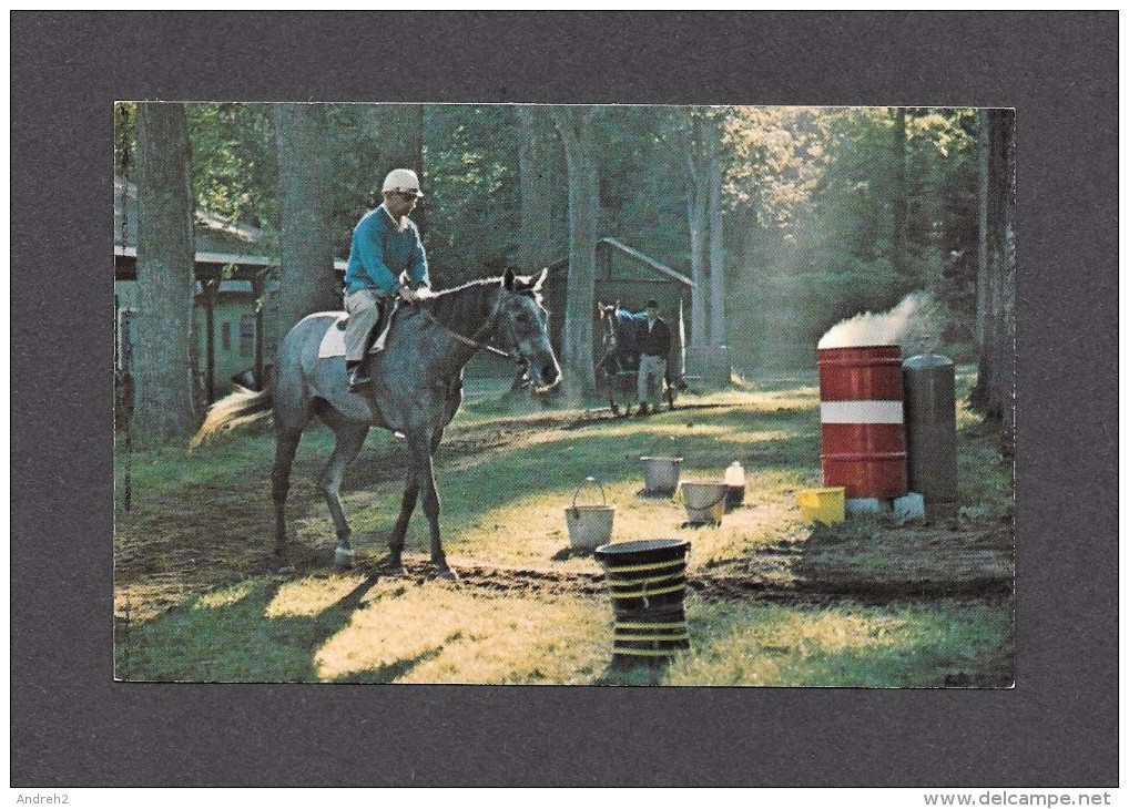 SPORTS - Course De Chevaux - New York Saratoga Early Morning In Horse Haven At The Saratoga Track - Autres & Non Classés