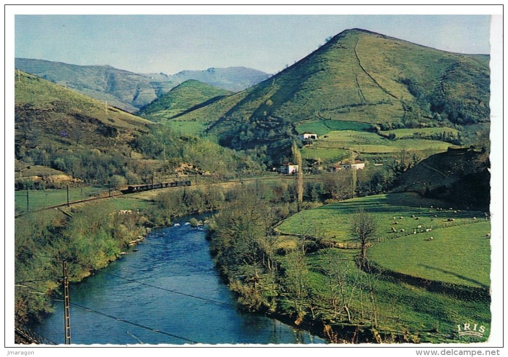 PAYS-BASQUE - La Vallée De La Nive - Iris 795 - écrite Et Circulée 1963 - Be - Le Train Passant à Bidarray - Bidarray