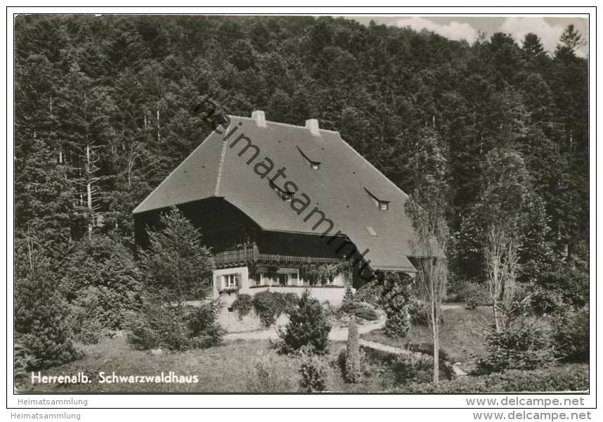 Herrenalb - Schwarzwaldhaus - Foto-AK - Bad Herrenalb