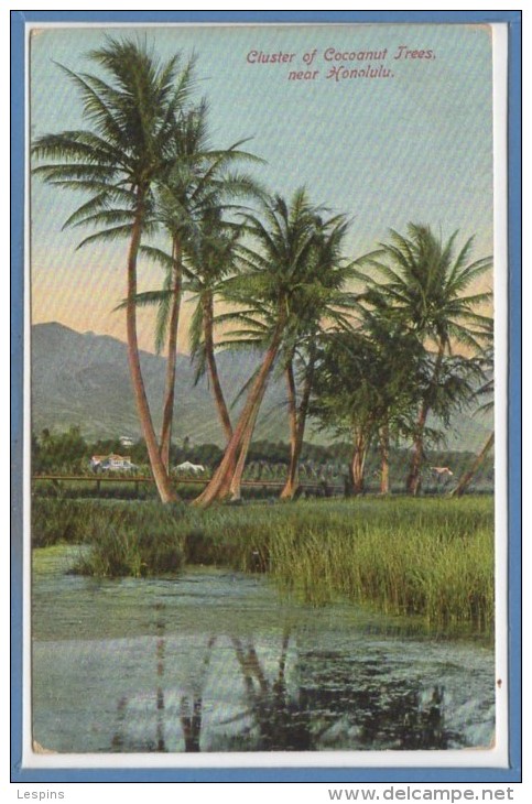 AMERIQUE --  Etats Unis --  HAWAII -- Honolulu -- Cluster Of Cocoanut Trees Near - Honolulu