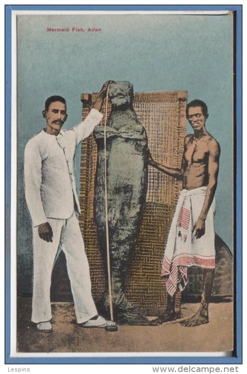 ASIE - YEMEN --- ADEN - Mermaid Fish - Yémen