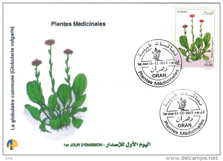 Algeria N° 1638 FDC Fleur Flore Flora Plantes Médicinales Medicinal Plants Globularia Vulgaris L Globulaire - Geneeskrachtige Planten