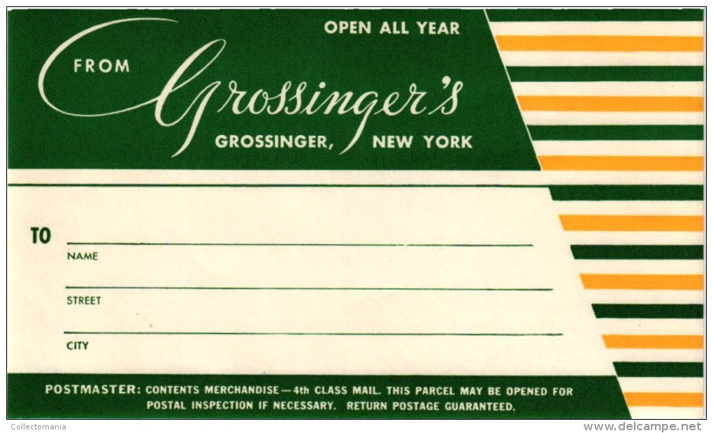 15 HOTEL Labels USA  NEW YORK  Elmira Elmhurst Rochester Albany Syracuse Cooperstown Grossinger Buffalo - Hotel Labels