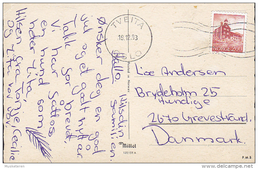 Norway PPC Deluxe TVEITA Oslo 1983 GREVE STRAND Denmark MITTET(2 Scans) - Briefe U. Dokumente