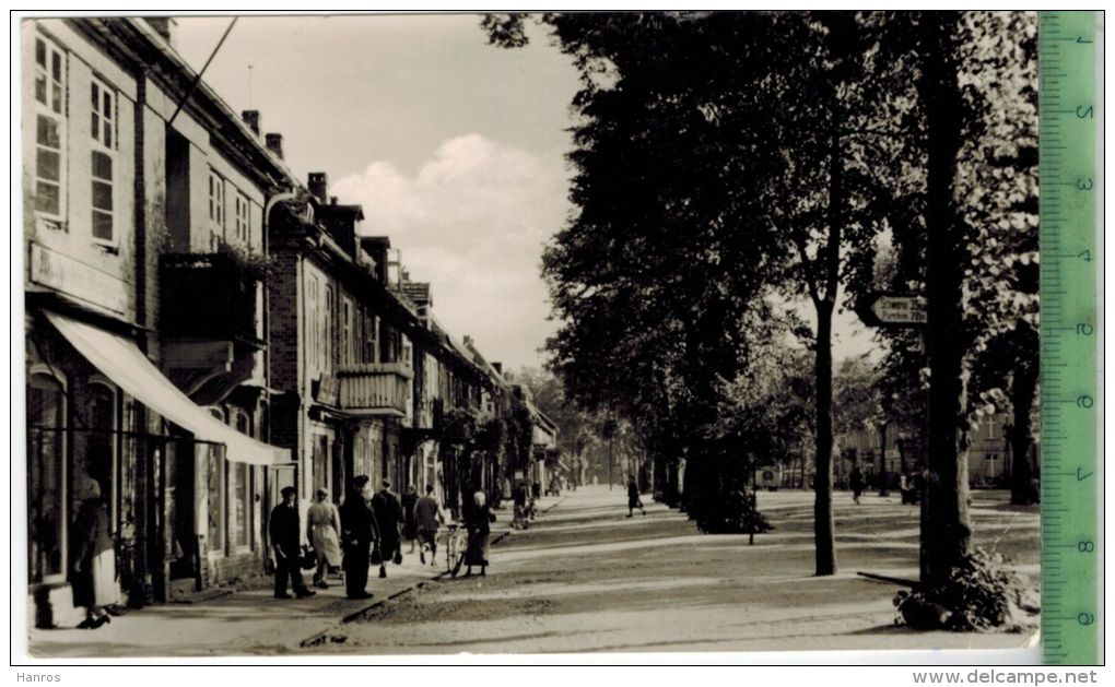 Ludwigslust, Wilhelm-Pieck-Str.,   Verlag:  ------, Postkarte Ohne  Frankatur, Ohne Stempel, Erhaltung: I-II, - Ludwigslust