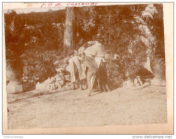 NIMES COURBESSAC  - Environ de Nimes -  - 15 Photos de 1902 de Courbessac et de la famille Charnisay - RARISSIME !!!!!