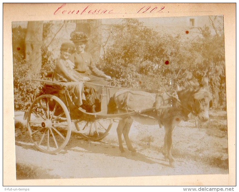 NIMES COURBESSAC  - Environ de Nimes -  - 15 Photos de 1902 de Courbessac et de la famille Charnisay - RARISSIME !!!!!
