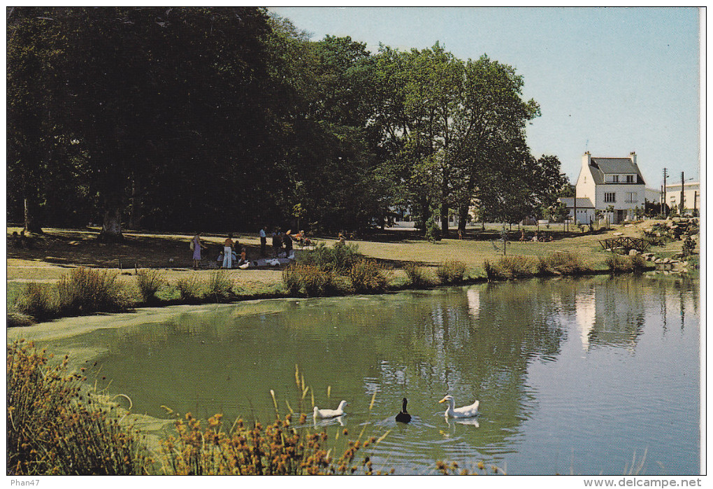 LANESTER (56-Morbihan), Parc Municipal Du Plessis, Canard Noir, Promeneurs, Ed. Artaud 1970 Environ - Lanester