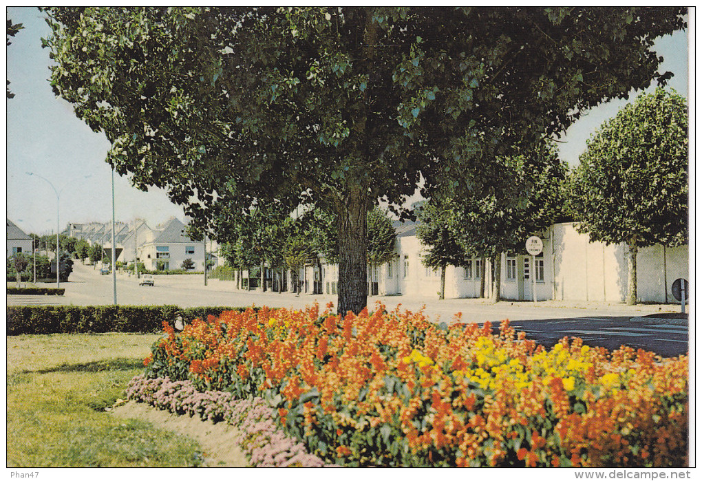 LANESTER (56-Morbihan), Avenue Staline, Ed. Artaud 1970 Environ - Lanester