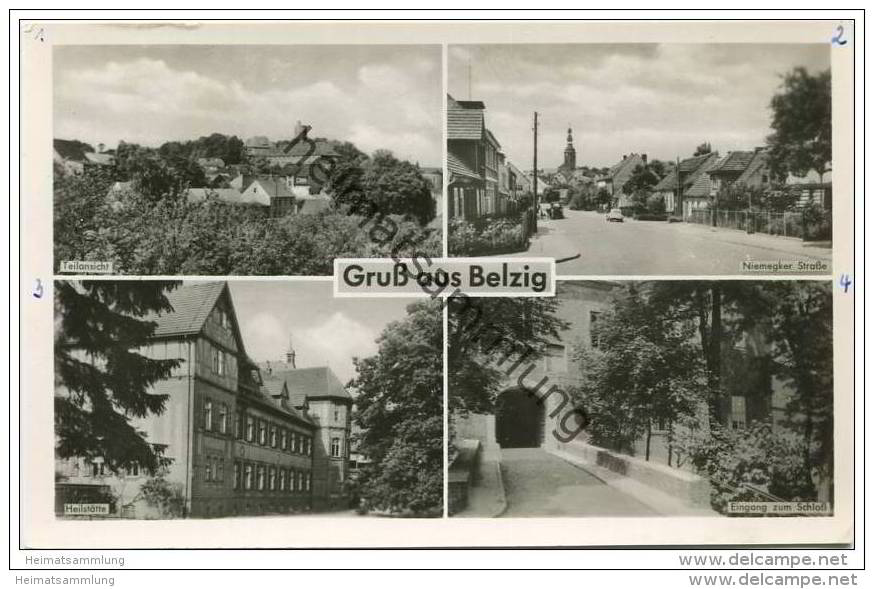 Belzig - Teilansicht - Niemegker Strasse - Heilstätte - Foto-AK - Belzig