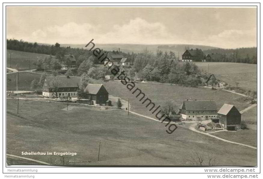 Schellerhau - Teilansicht - Foto-AK Handabzug - Schellerhau