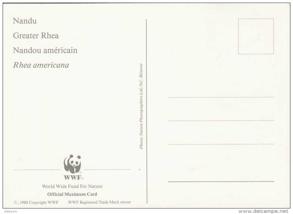 URUGUAY - WWF Maximumkarte 1993 NANDU, Karte Mit Zugehöriger Marke - Lettres & Documents