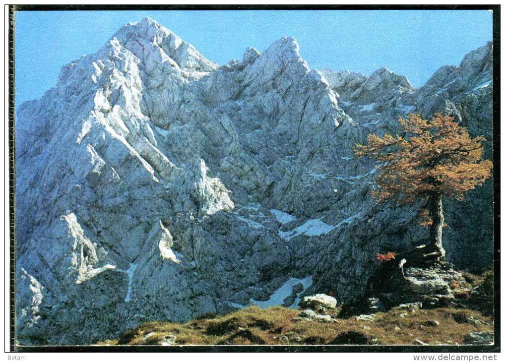 150 - Slovenia - Ojstrica Mountain - Mountaineering Postmark - Postcard - Alpinisme