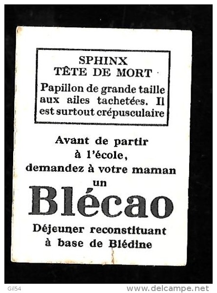 Pub   Bledine Jacquemaire - Blecao  -  Bon Point -  Sphinx Tête De Mort    - Chroq11 - Other & Unclassified