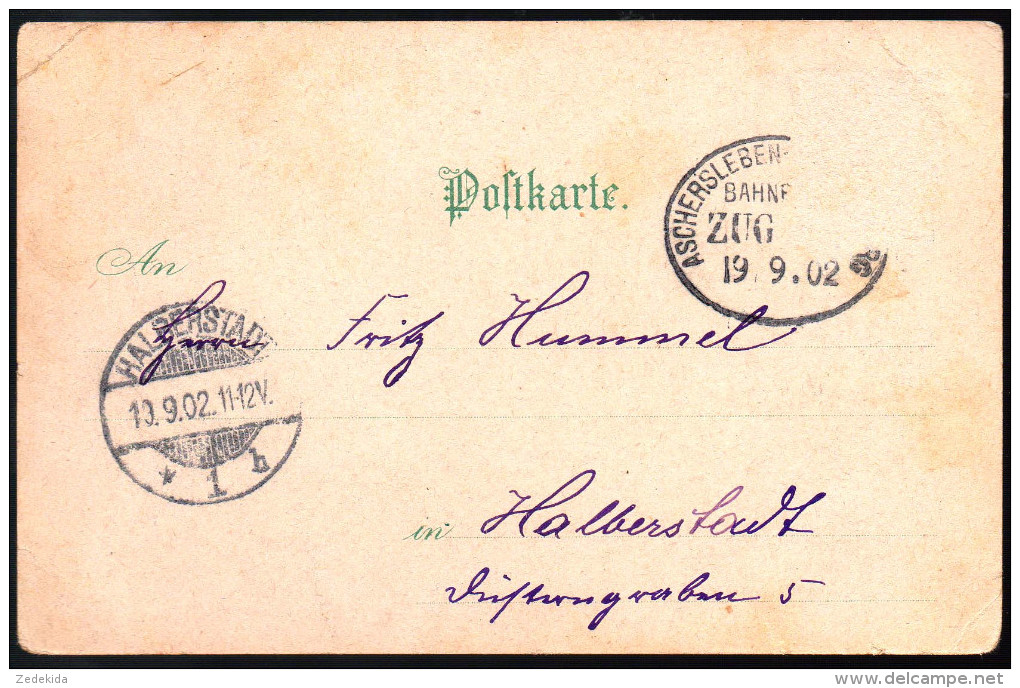 0964 - Alte Litho Ansichtskarte - Gruß Aus Lauingen - Gel 1902 - Lauingen