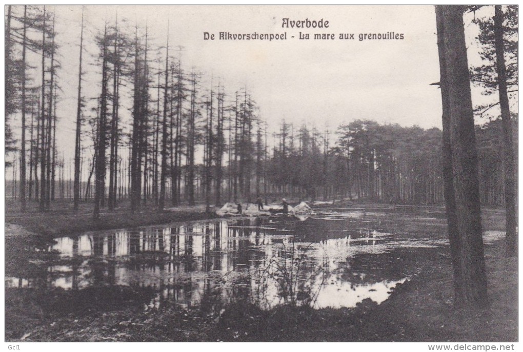 Averbode - De Kikvorspoel - Scherpenheuvel-Zichem