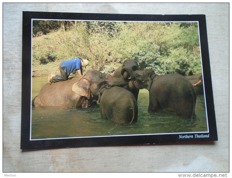 Thailand - Elephant -bathing Elephants    D133184 - Tadjikistan