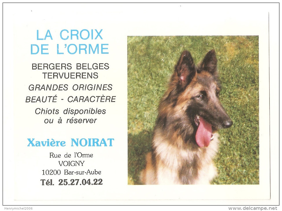 10 - Bar Sur Aube - La Croix De L'orme - Vente Chiens Bergers Belges Tervuerens Chiots Chien - Bar-sur-Aube