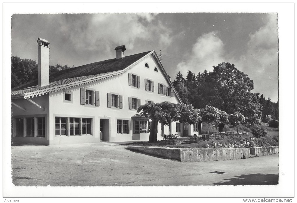 L1884  -  Restaurant De La Croix Fédérale Mauborget Sur Grandson - Grandson