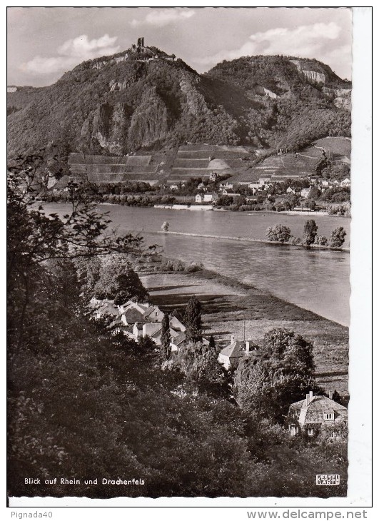 Cp , ALLEMAGNE , DRACHENFELDS , Blick Auf Rhein - Drachenfels