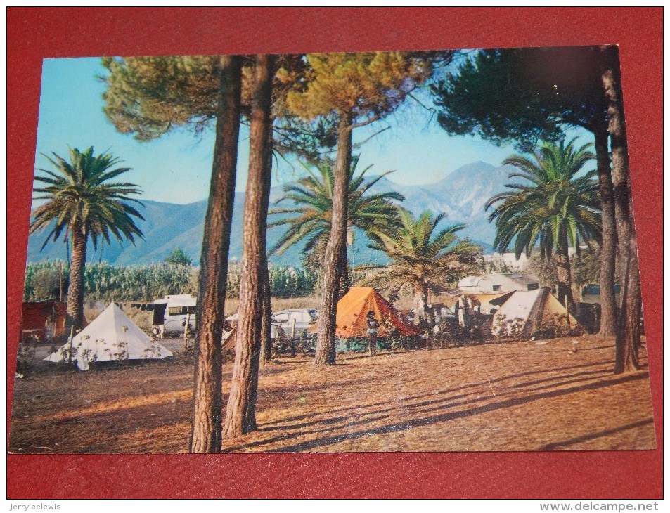 MARINA  DI  CARRARA  -  Camping - Carrara