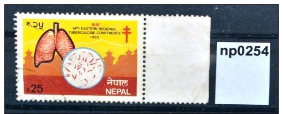 14. Tuberkulose Konferenz, Lunge, Bakterien, Medizin, Nepal 1985 (np0254) - Népal