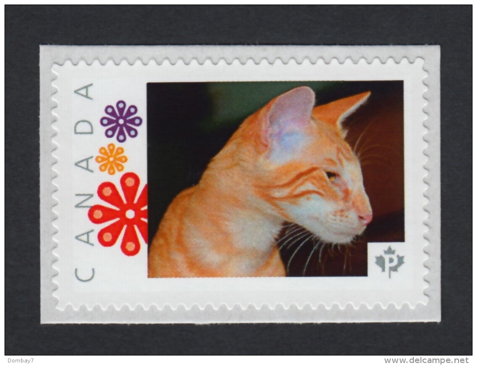 ORIENTAL RED DOMESTIC CAT Picture Postage MNH Stamp Canada 2015 [p15/9sn2] - Hauskatzen