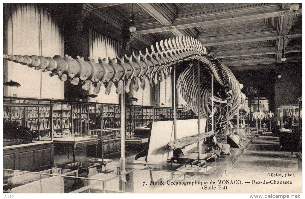 MONACO 1911 Musée Océanographique - Salle Est - Oceanographic Museum