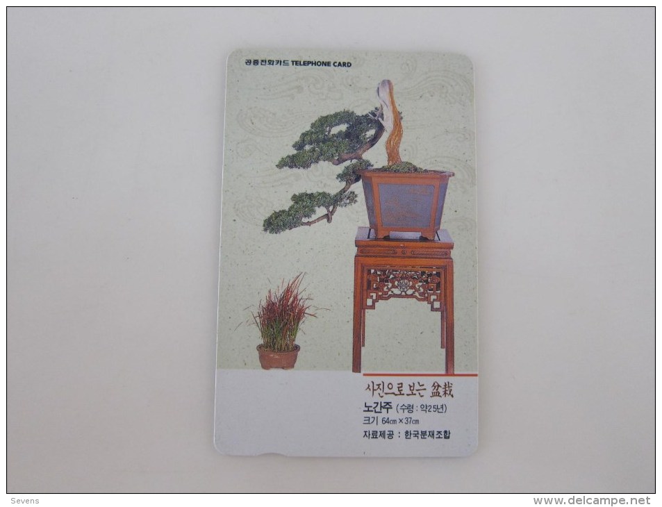 Magnetic Phonecard,bonsai,used - Corée Du Sud