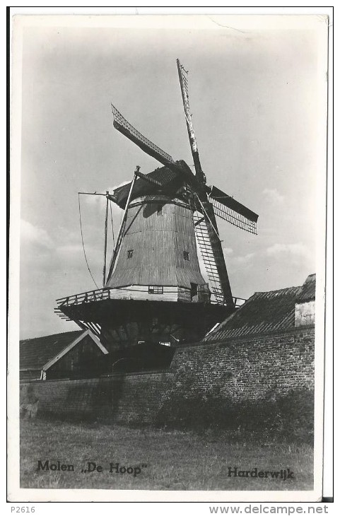 PAYS- BAS -  MOLEN DE HOOP - HARDERWIJK - Harderwijk