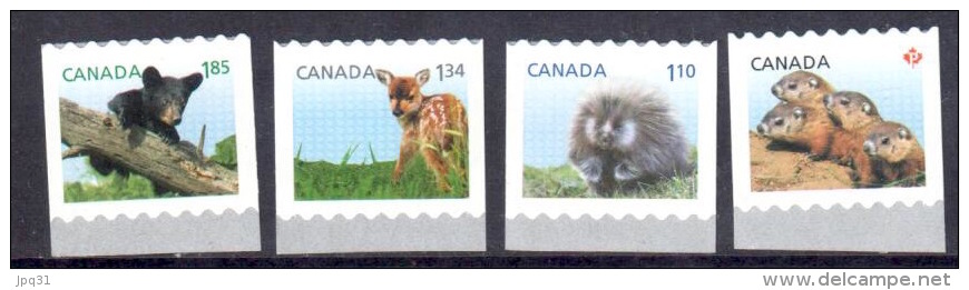 Canada Bébés Animaux 2013 ** - Coil Stamps