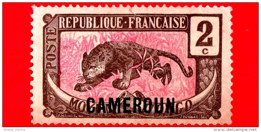 CAMERUN - Usato - 1921 - Simboli Del Paese - Panthera-tusks O.p Cameroun - 2 - Used Stamps