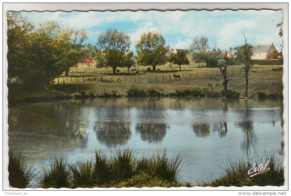 Arthies En Vexin, L'Etang (pk25249) - Arthies