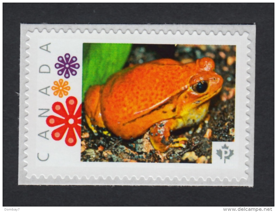 TOMATO FROG  Picture Postage MNH Stamp Canada 2015 [p15/9fg3/2] - Kikkers