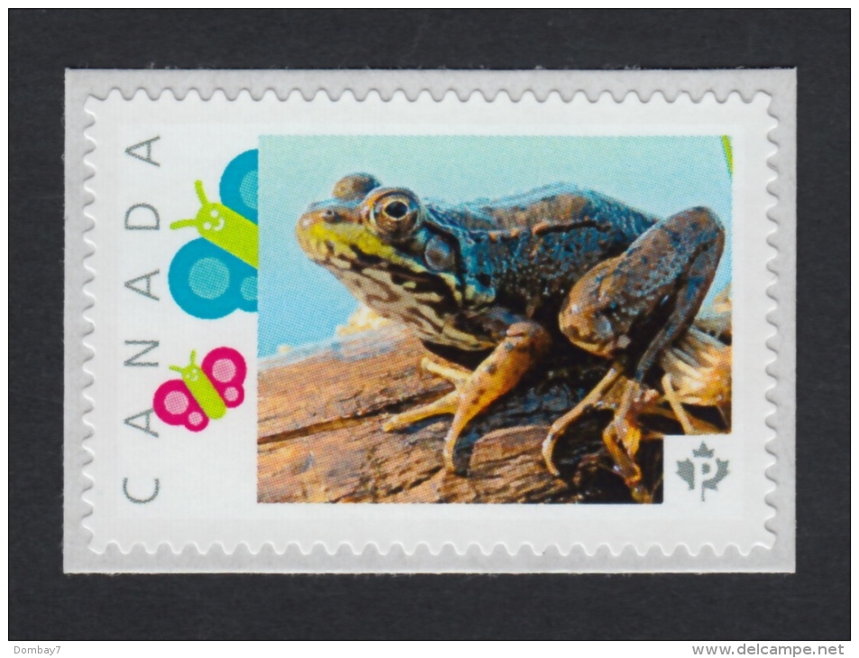 LAKE FROG, Picture Postage MNH Stamp Canada 2015 [p15/9fg3/3] - Frogs