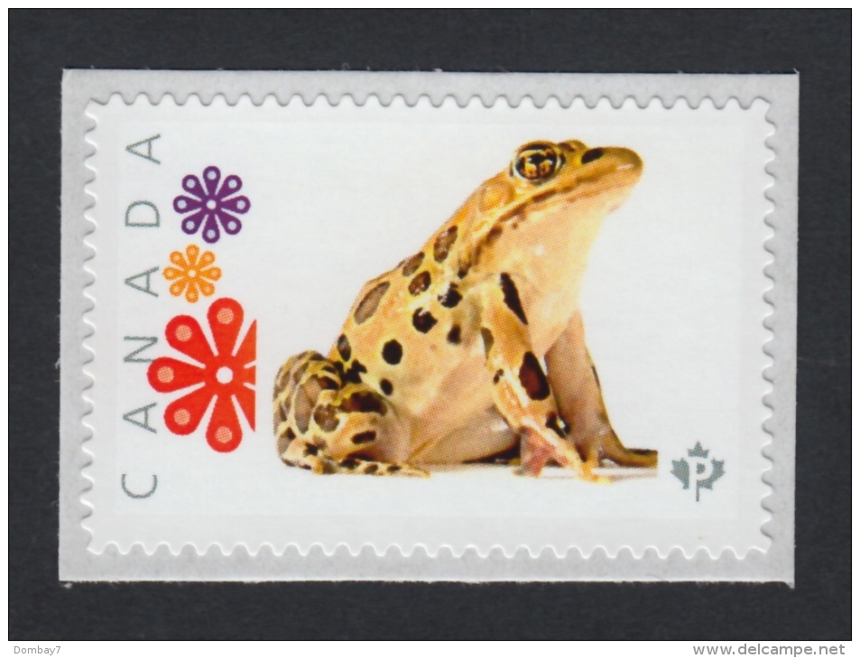 LEOPARD FROG, Picture Postage MNH Stamp Canada 2015 [p15/9fg3/3] - Frogs